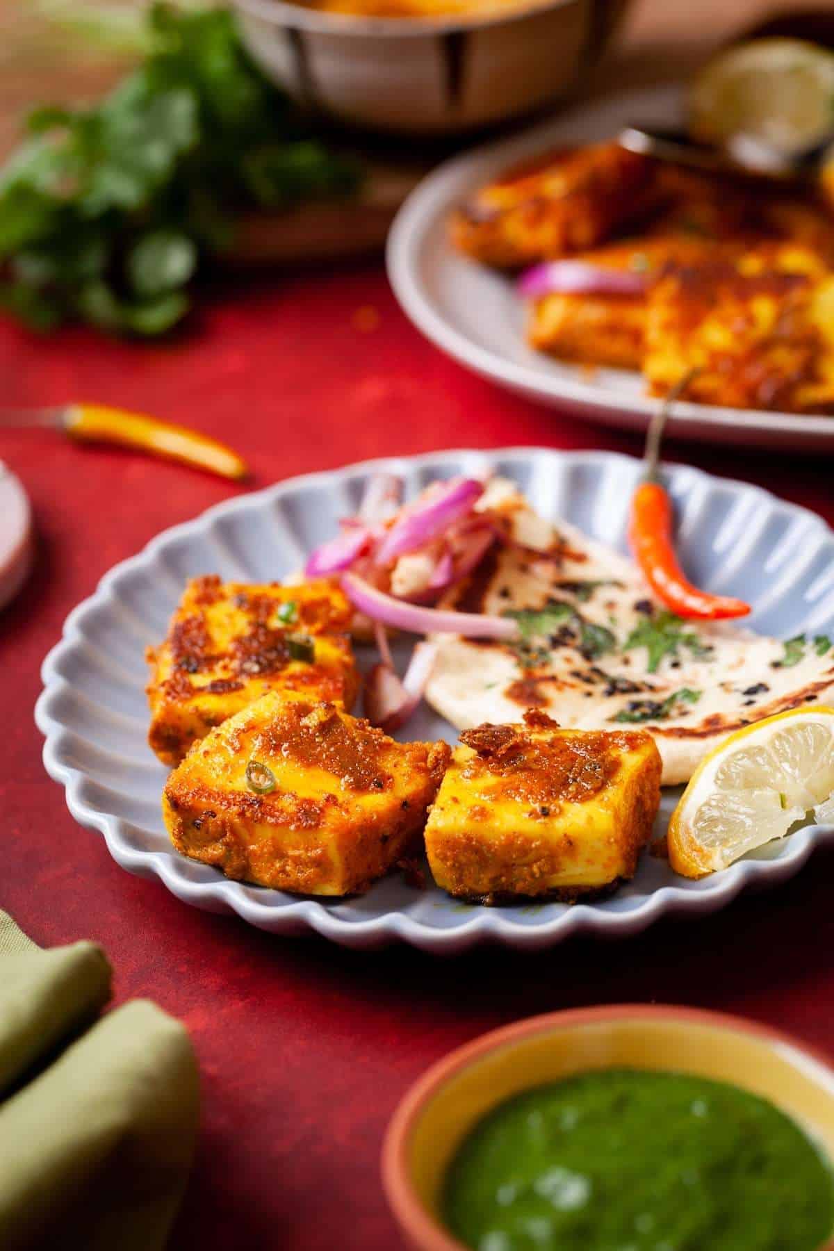 IMG_0984-4 Side shot of tikka with onions