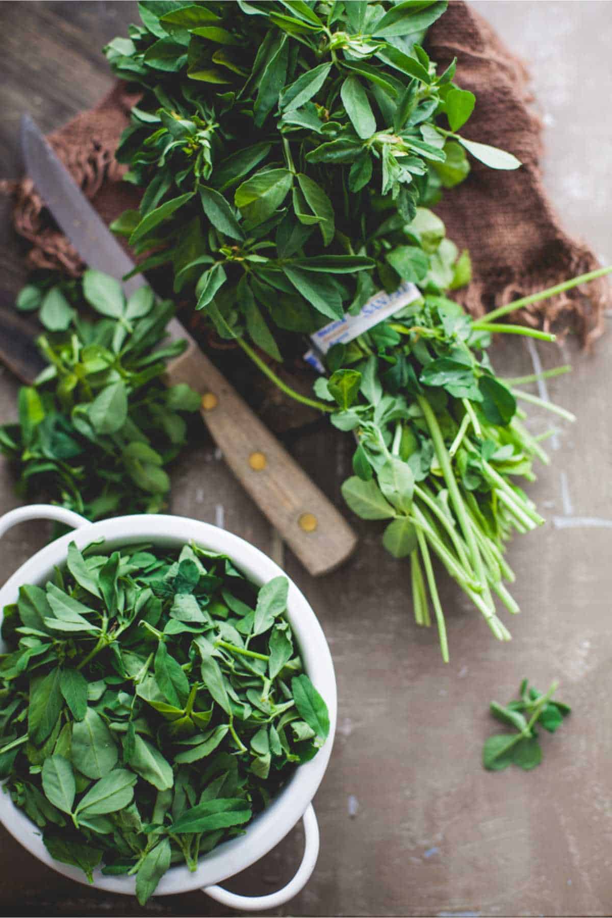 A bunch of fresh methi (fenugreek) leaves. 