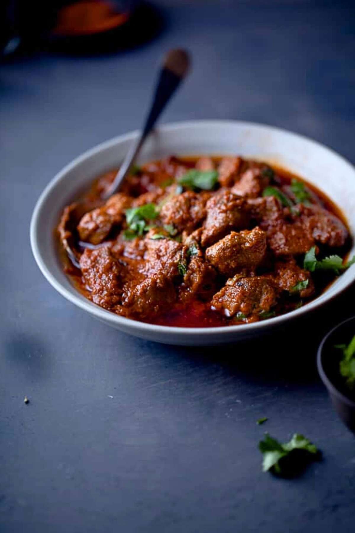 Closeup of rogan josh.
