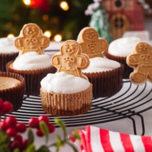 Min Gingerbread Cheesecake Featured Image.