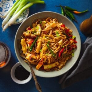 Sinfully Spicy Paneer Chowmein Featured Image