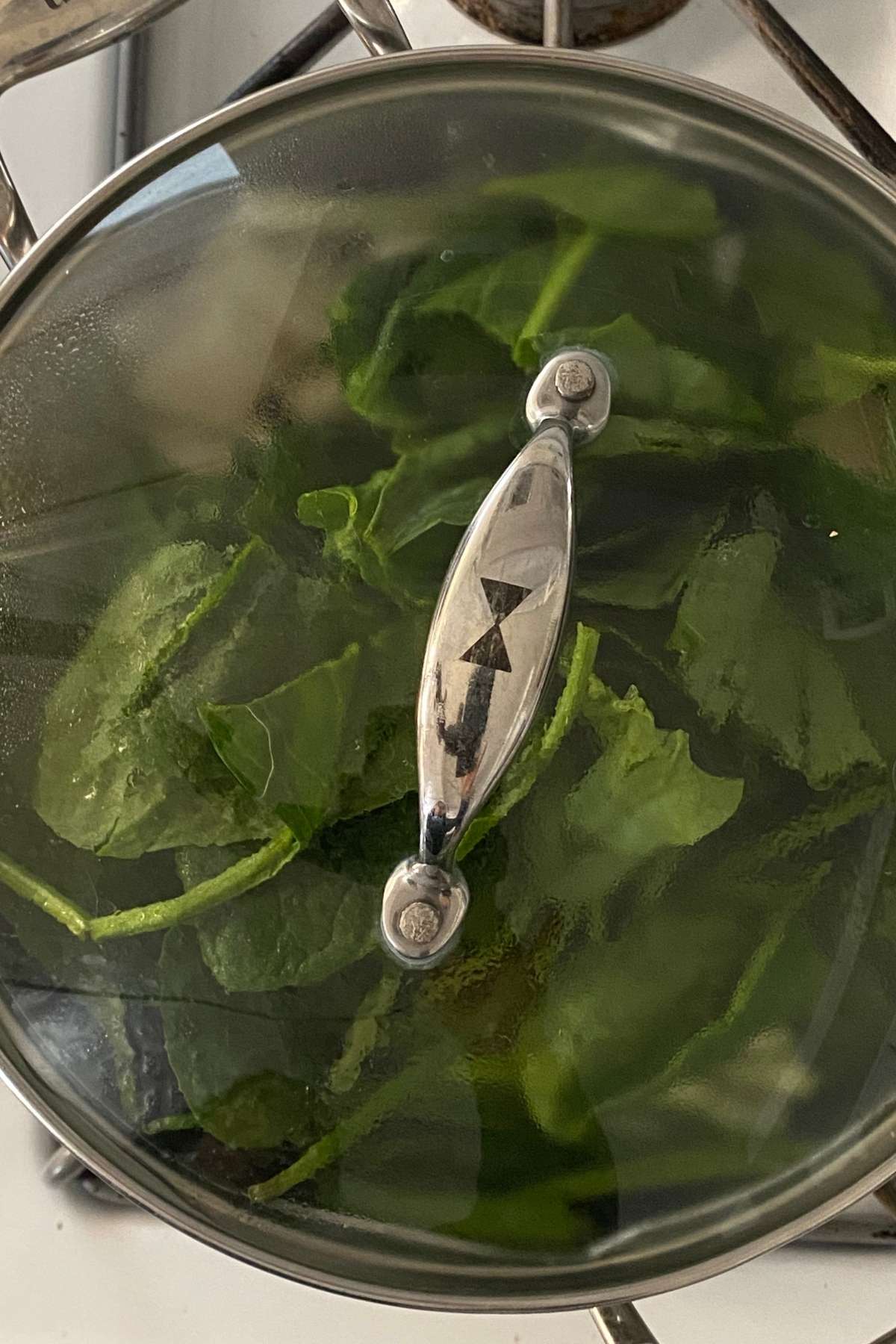 Cover and let the mustard greens cook until mushy.