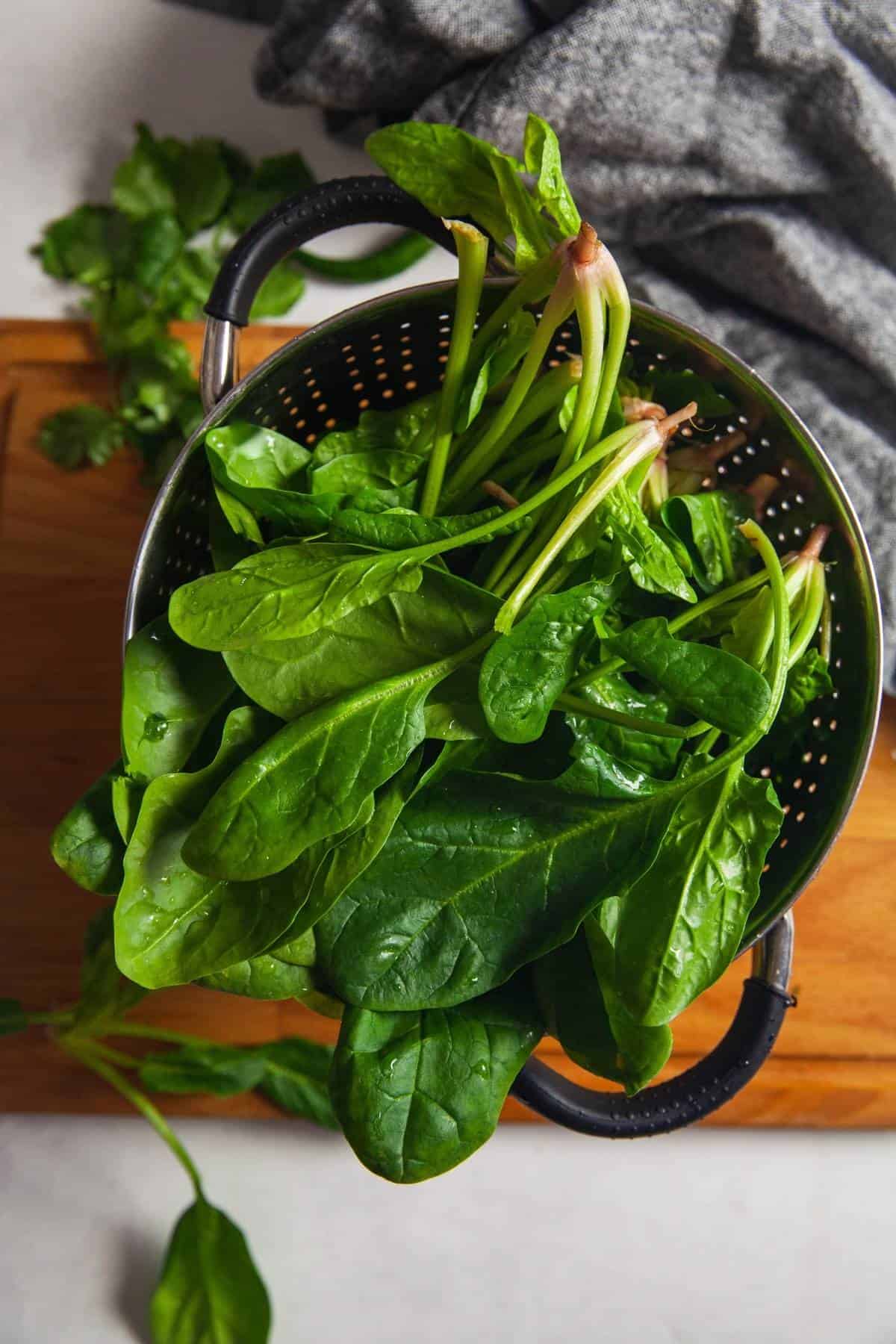 Still Life- Spinach Bunch