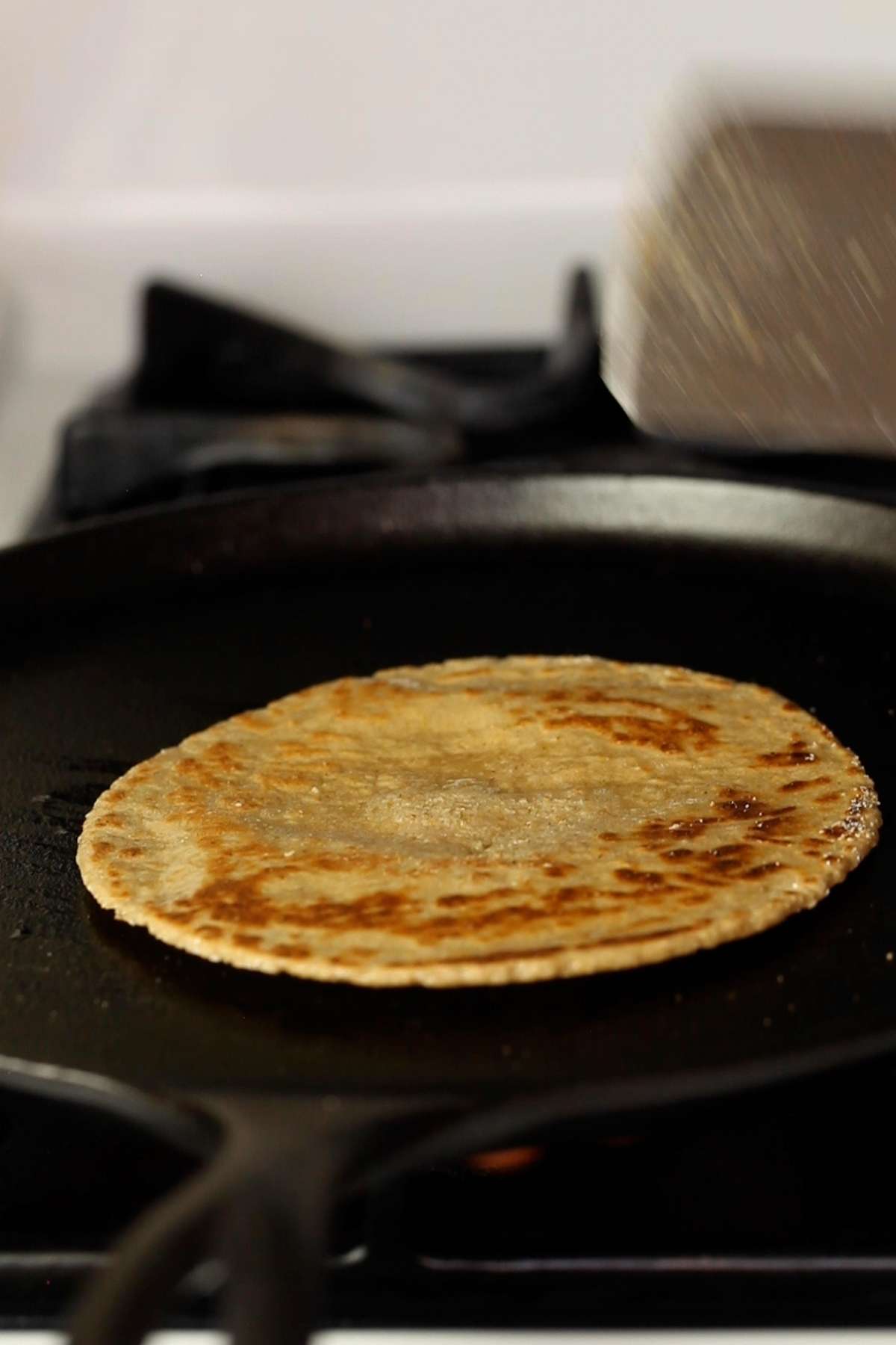 Cook until light brown spots appear. 