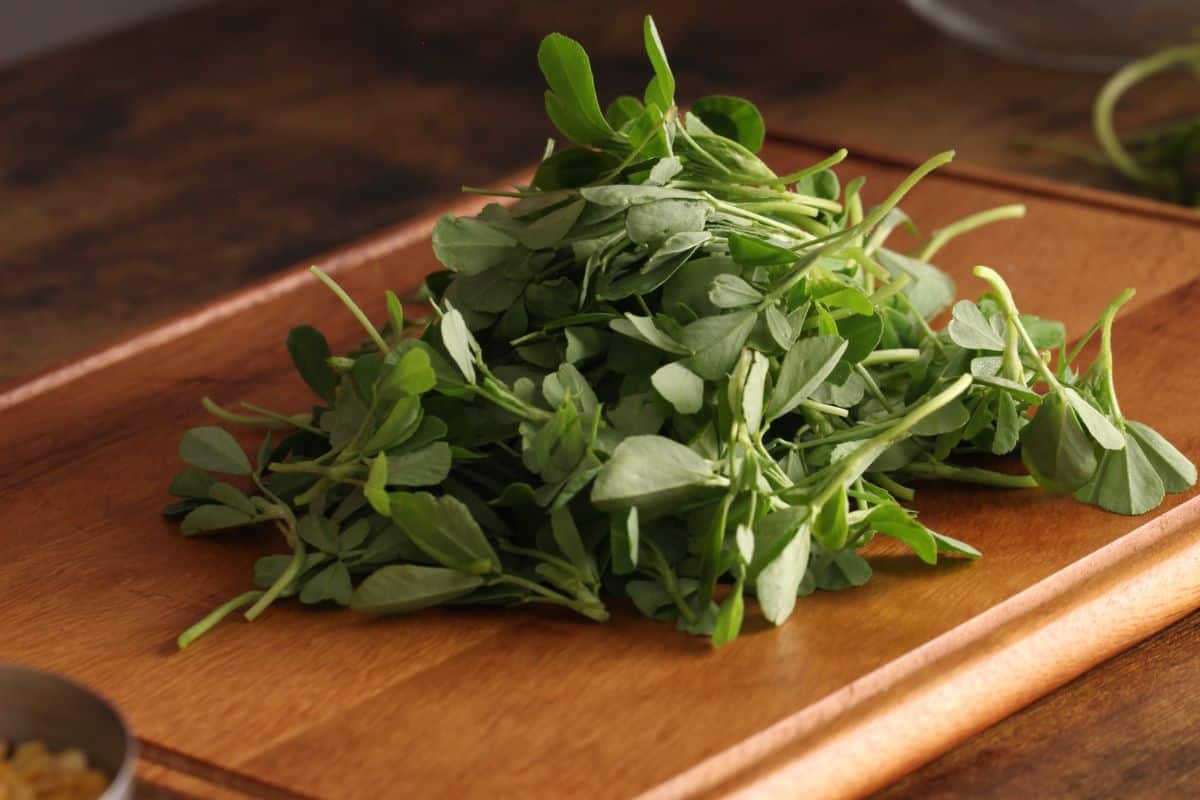 Stack f fresh methi (fenugreek) leaves.