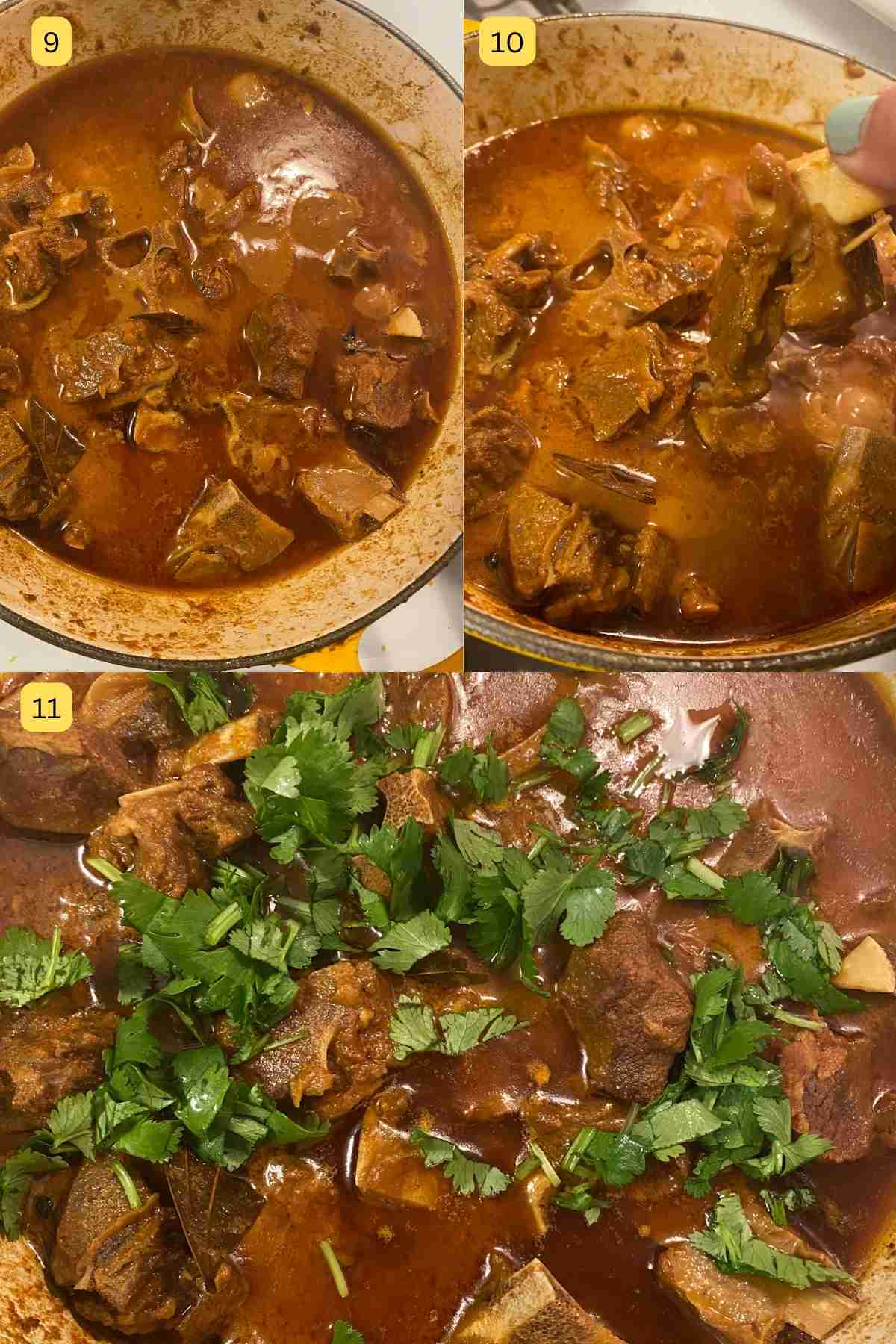 Mutton curry after slow cooking with garnishes. 
