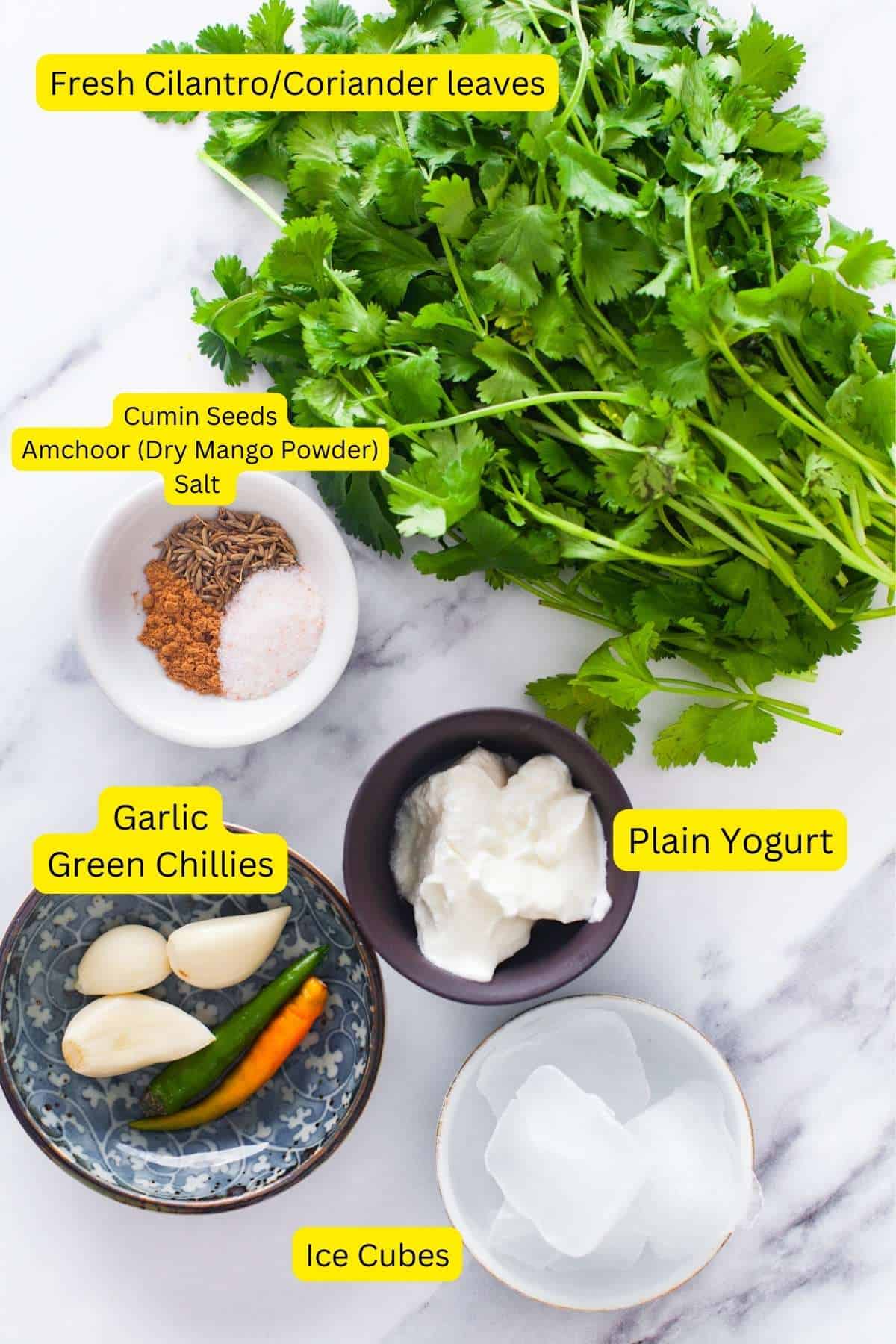 Ingredients needed to make green cilantro chutney.
