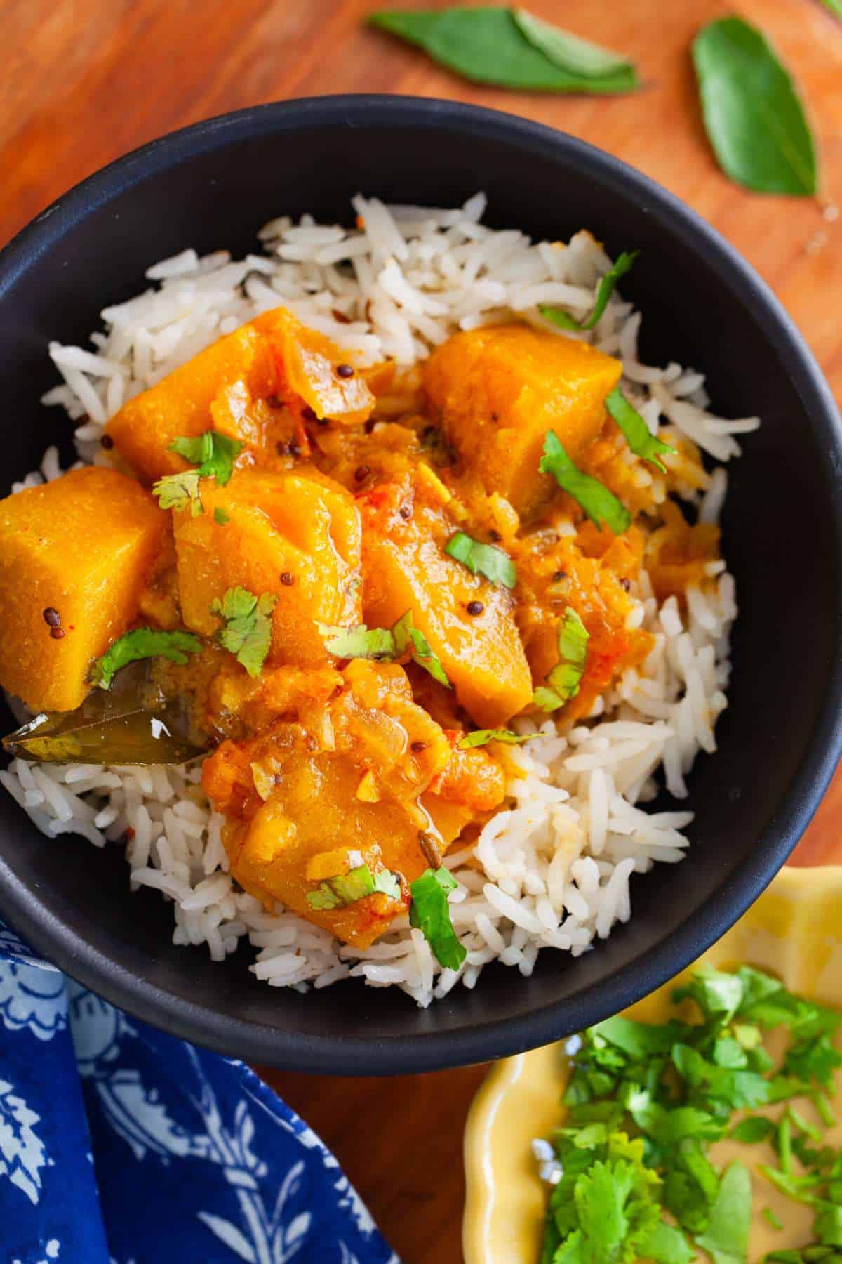 Close Up of rasedar kaddu over rice.