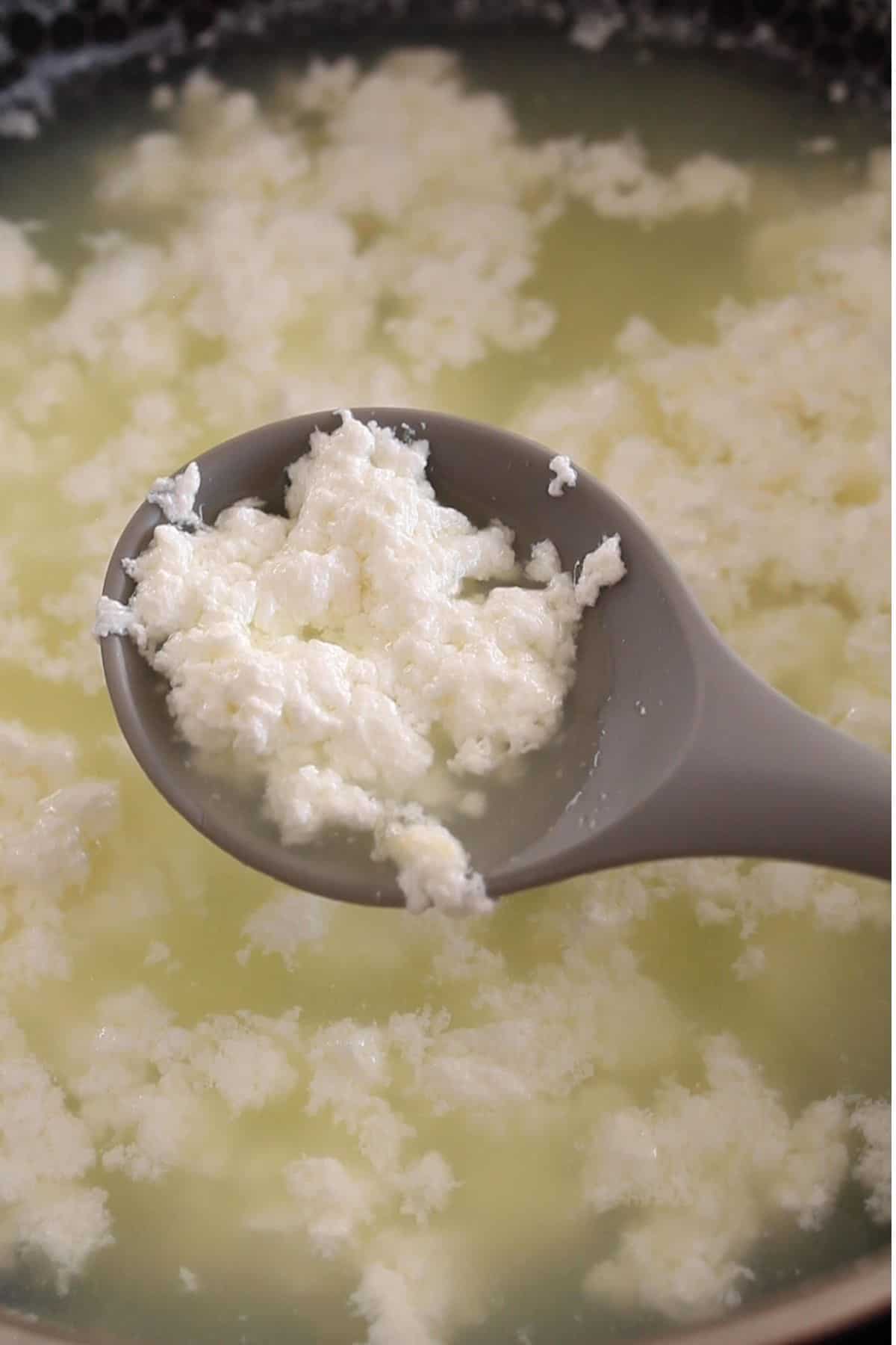 Curdled milk or chenna is formed.