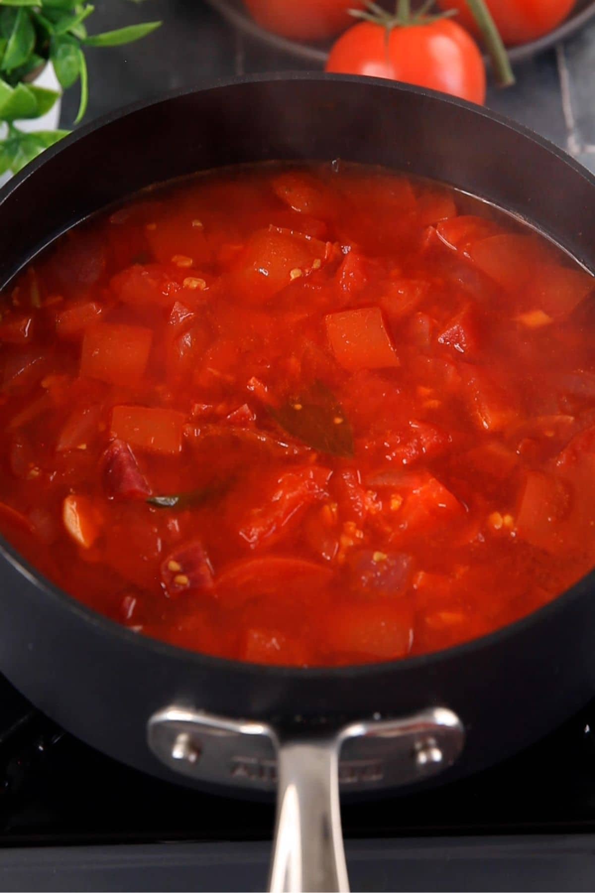 Soft cooked tomatoes and vegetables after slow cooking.