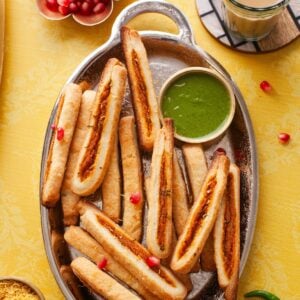 Samosa Sticks Featured image.