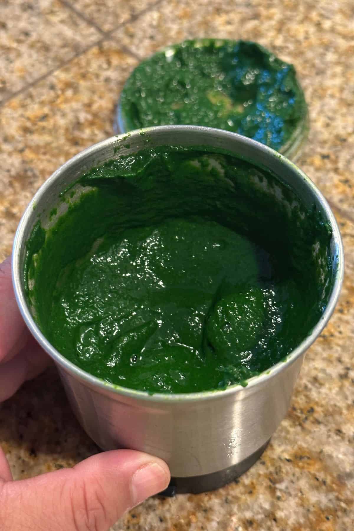 Making spinach puree in a stainless steel blender. 